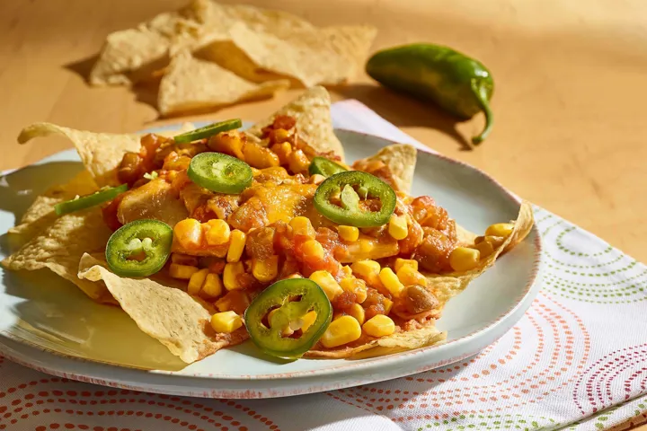 Herr's Salsa Chicken Tortilla